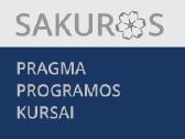 Buhalterinė apskaita Kaune +370-600-42070 - nuotraukos Nr. 2