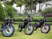 Accmotor 12000w 84v/ Eve 40pl Cells - nuotraukos Nr. 2
