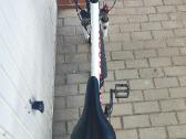 MTB dviratis hard rock - nuotraukos Nr. 7