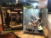 Aquel Shrimp Set 30 - nuotraukos Nr. 4