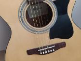 Gitara - nuotraukos Nr. 2