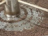 Skrudintos kavos pupelės 70% Robusta/30% Arabika - nuotraukos Nr. 4