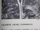 Laiškai iš elnių miško - nuotraukos Nr. 3