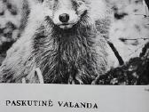 Laiškai iš elnių miško - nuotraukos Nr. 7