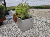 Corten, dažyti metaliniai vazonai - nuotraukos Nr. 3