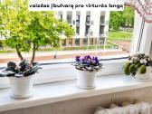 Bulvare 2 Kambarių Butas - nuotraukos Nr. 17
