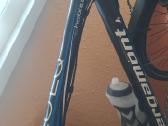 Bergamont 29er - nuotraukos Nr. 9