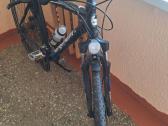 Bergamont 29er - nuotraukos Nr. 10
