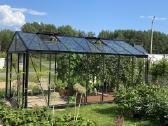 Gardenio stiklinis šiltnamis Ventus - nuotraukos Nr. 2