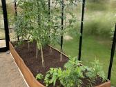 Gardenio stiklinis šiltnamis Ventus - nuotraukos Nr. 5