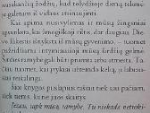 Širdies ramybės paslaptis - nuotraukos Nr. 5