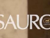 Sauro 750 Pr Au Grandinėlė Su Medalionu 15100€ - nuotraukos Nr. 25