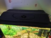 70l. akvariumas - nuotraukos Nr. 3