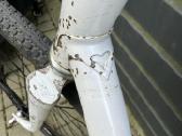 De Rosa fixas - nuotraukos Nr. 3