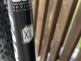Kalnu dviratis cannondale - nuotraukos Nr. 16
