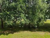 Tauragėje nuomojamas 3 kambarių butas - nuotraukos Nr. 27