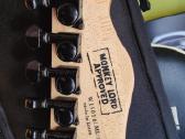 Chapman Ml1 Natural Satin Mahogany - nuotraukos Nr. 3