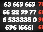 Lengvas VIP Numeris 800800 ,66666, 3444433 - nuotraukos Nr. 2