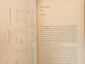 Gėda. Salman Rushdie - nuotraukos Nr. 4