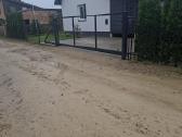 Stumdomi kiemo vartai - nuotraukos Nr. 2