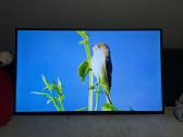 LG (55coliu) 140cm. - nuotraukos Nr. 5