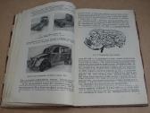 Knuga Mikroautomobiliai - nuotraukos Nr. 10