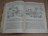 Knuga Mikroautomobiliai - nuotraukos Nr. 20