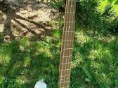 Bosine gitara - nuotraukos Nr. 3