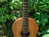 Fender akustine gitara. - nuotraukos Nr. 4
