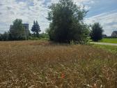 Parduodamas 0,19 ha žemės ūkio paskirties sklypas - nuotraukos Nr. 3