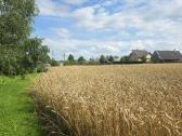 Parduodamas 0,19 ha žemės ūkio paskirties sklypas - nuotraukos Nr. 5