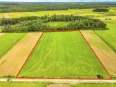 2,58 ha prie Švėkšnos, žemės ūkiui, prižiūrėtas! - nuotraukos Nr. 2