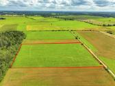 2,58 ha prie Švėkšnos, žemės ūkiui, prižiūrėtas! - nuotraukos Nr. 3