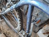 Shimano dviratis - nuotraukos Nr. 5
