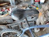 Shimano dviratis - nuotraukos Nr. 7