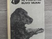Senovinės knygos, pasakos - nuotraukos Nr. 12