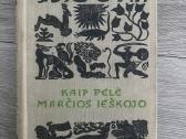 Senovinės knygos, pasakos - nuotraukos Nr. 19