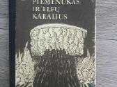 Senovinės knygos, pasakos - nuotraukos Nr. 20