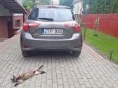 Toyota yaris - nuotraukos Nr. 2