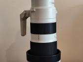 Sony Fe 200-600mm f/5.6-6.3 G Oss objektyvas - nuotraukos Nr. 2