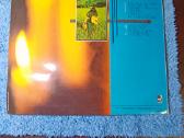Vinilinės plokštelės - nuotraukos Nr. 10