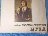 Vinilinės plokštelės - nuotraukos Nr. 18