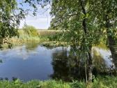 Parduodama sodyba Kelmės raj. Minupių k. - nuotraukos Nr. 9