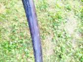 Kabelis 4g70mm apie 13.5m - nuotraukos Nr. 2