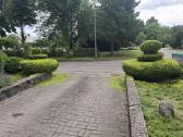 Gyvatvorių genėjimas,vejos pjovimas,skarifikavimas - nuotraukos Nr. 36