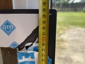 Vitrininis langas 150 eur - nuotraukos Nr. 2