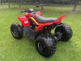 Vaikiškas Keturratis Cfmoto Cforce110 - nuotraukos Nr. 4