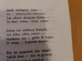 Salomėja Nėris(eilėraščių rinkinys - nuotraukos Nr. 5