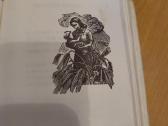 Salomėja Nėris(eilėraščių rinkinys - nuotraukos Nr. 7