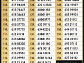 Grazus VIP numeris 22222 - nuotraukos Nr. 2